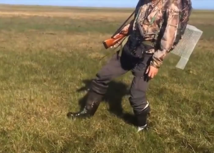 即使用力踩下亦无法抚平,有如一张弹床。