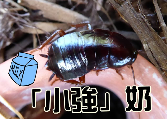 ������ţ��3�� ��ѧ�ҷ�������̫ƽ��׳������