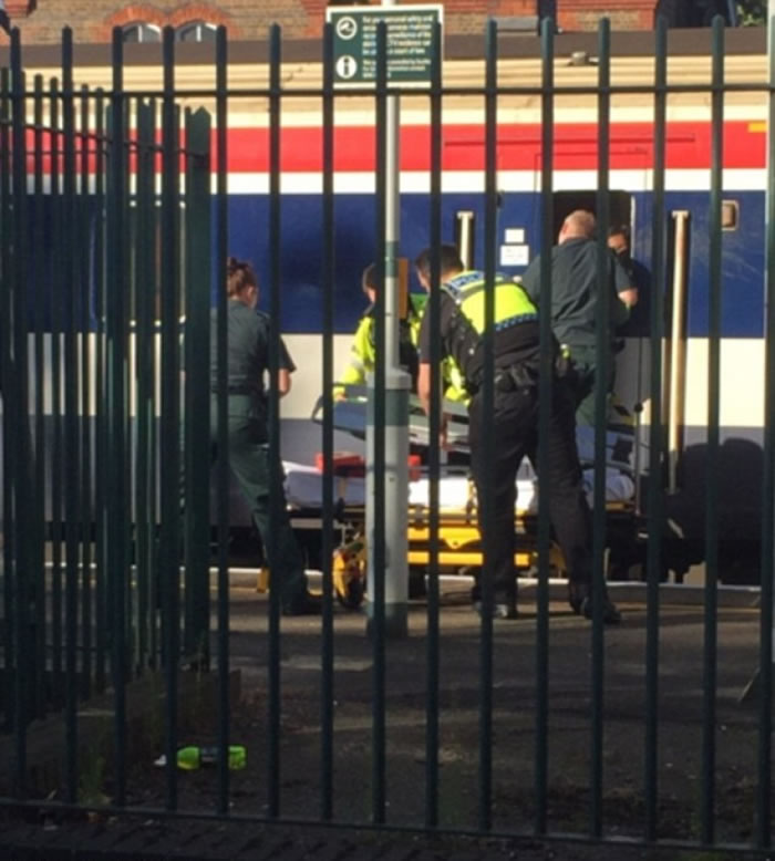 �������ŵ����������ߡ�