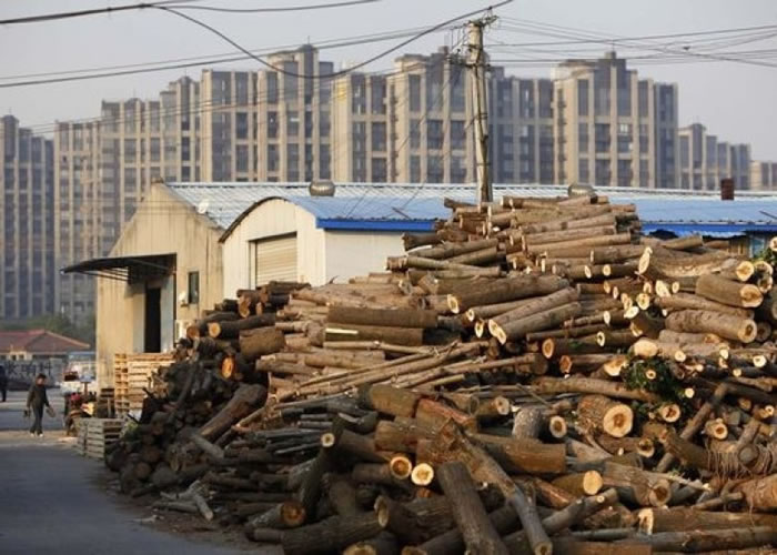 ��ýָ�й��Է��޺�ľ�������ǣ������ǹ��ҷǷ��ĺ�ľó�״�����