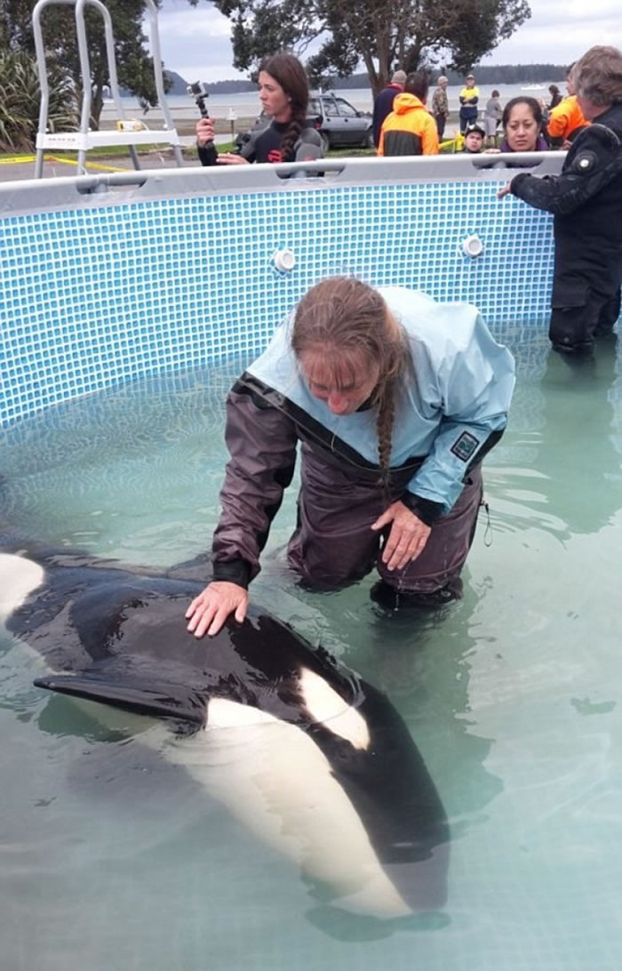 ר��ָ����ϲ�����˴�����