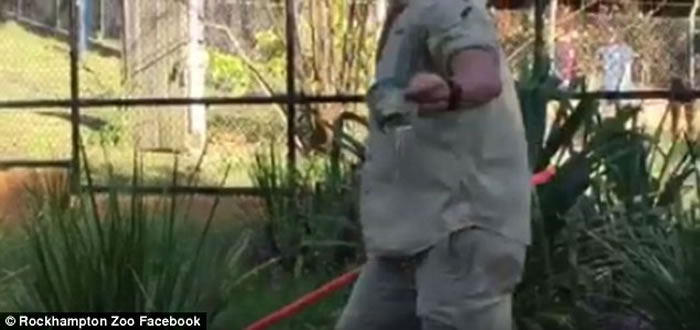 澳洲动物园鳄鱼塑料瓶卡喉 职员用木棒挑衅迫其吐出