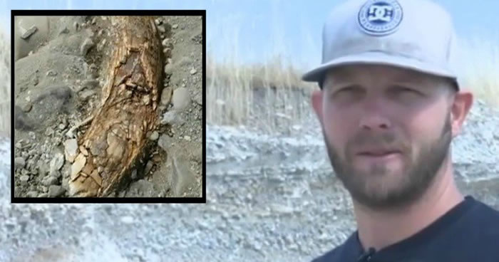美国爱达荷州男子在自家碎石坑中发现万年前长毛象象牙