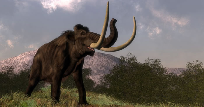 美国爱达荷州男子在自家碎石坑中发现万年前长毛象象牙