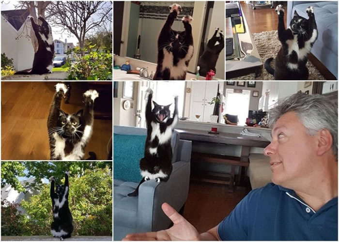 马雷斯(右下图右)发现基斯(右下图左)会不时站起来。