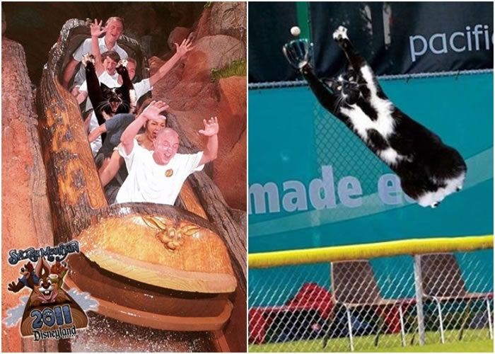 不少网友为基斯(右图)改图。