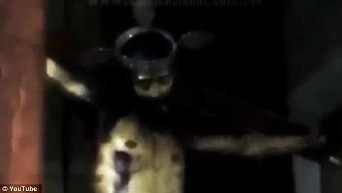 Ү�����飿ī�������Ү�����ڽ̻���ͻȻ�����۾�