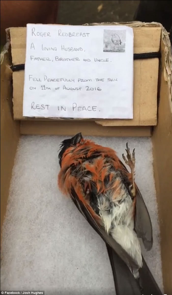 С��������׹������ Ӣ��һȺ���Ṥ��̧������������ʽɥ��