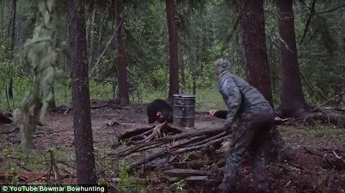 Josh BowmarƳìʹ̺ܺ