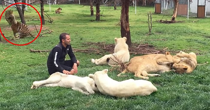 ī���綯��԰������������Ϯ������Ա �ϻ�ͦ����������