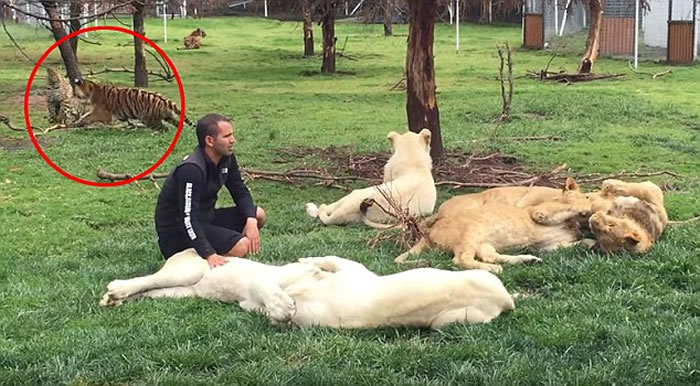 ī���綯��԰������������Ϯ������Ա �ϻ�ͦ����������