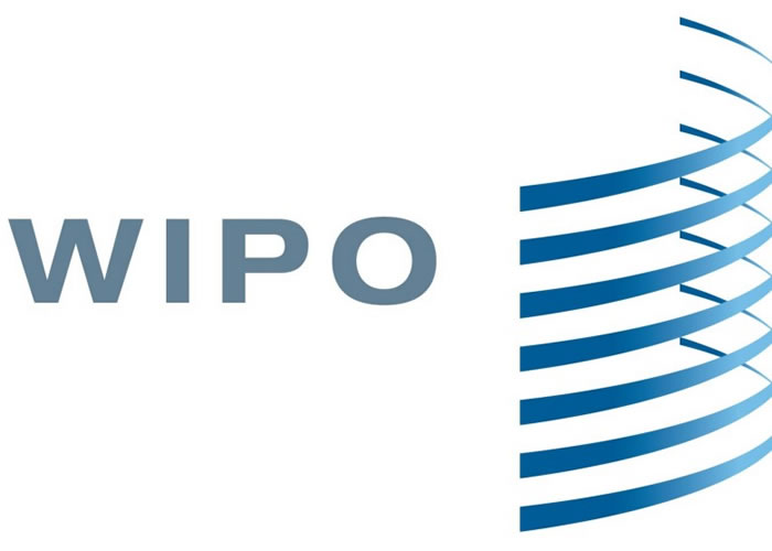WIPO��ȫ��һ�ٶ�����Һ͵��������������е��顣