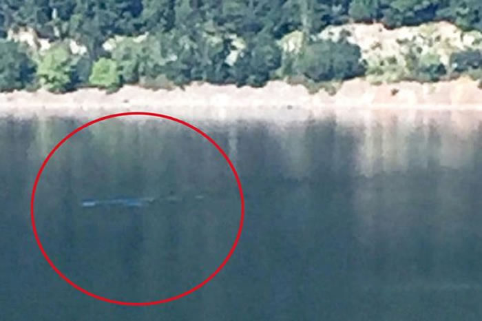尼斯湖水怪再度现身?游客湖边享用午餐时发现水面出现神秘涟漪