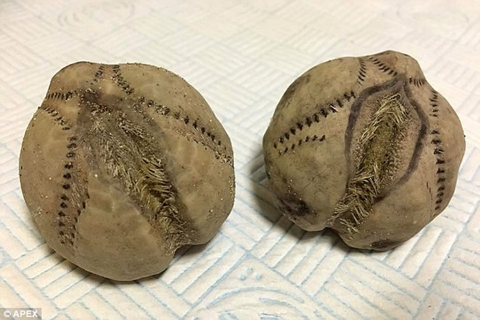 Ӣ���������ִ����ֲ������ε��� ������������Ϯ�ֻ�