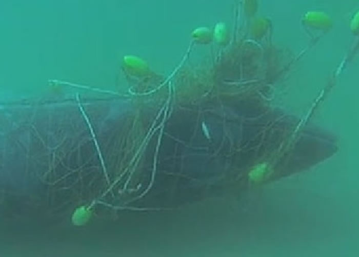 �ƽ𺣰���2014����������ͬ�����¼���