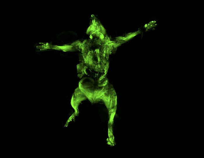 uDISCO技术可以把整个动物变透明