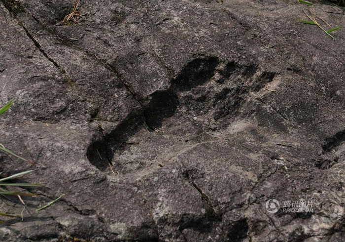 ����ʡǭ�������嶱�������ݴӽ��ؼӰ���ƽ����ʯ�Ͼ��֡����˽�ӡ��