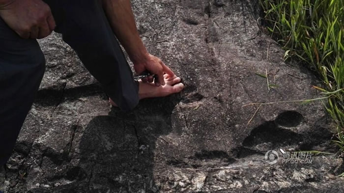 ����ʡǭ�������嶱�������ݴӽ��ؼӰ���ƽ����ʯ�Ͼ��֡����˽�ӡ��