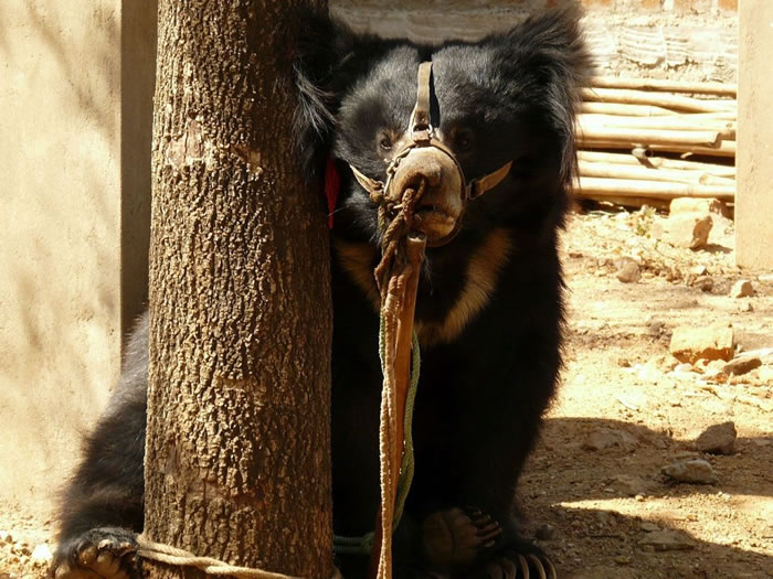 ������ʱ�Ĳ�����