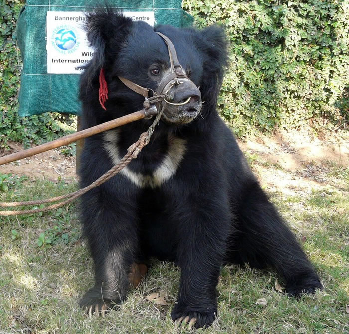 ��Ϊһֱ���ڿ־��У��������������Ǻܱ��ˡ�