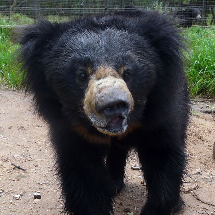 ϲ�������Ĳ��������¼���Ӧ���ã�