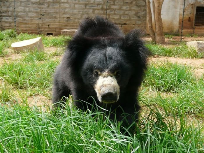 �����������Ӱ��ȷ����ʱ�����Ŷ������䵭