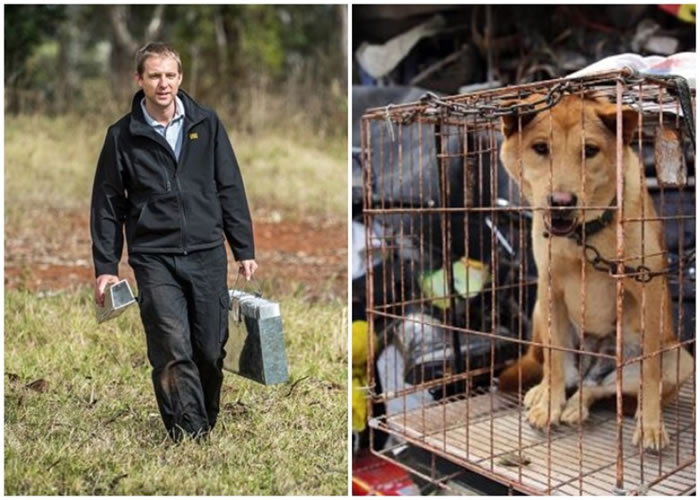 ���ף��󣩽�����ڹ��⵽�����г���