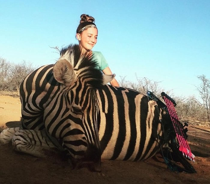 古尔丹曾猎杀斑马。