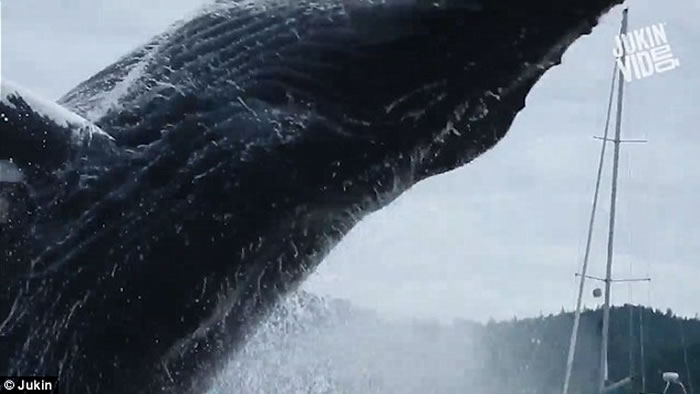 ���ô���ͷ����ľ����ͻԾ�� �ο;�ϲ�侪��