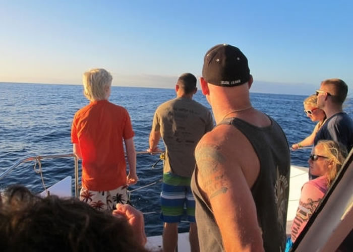 海豚同游为夏威夷的热门旅游活动。