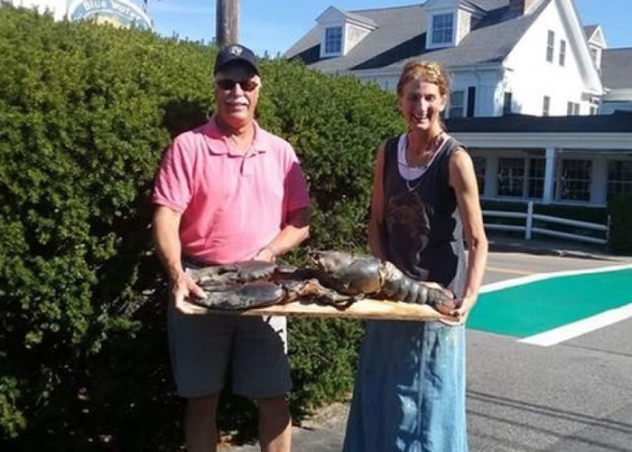 居民数日后发现龙虾尸体。