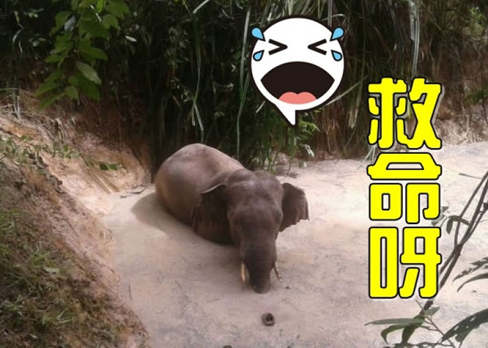 ̩ȿɽҹ԰һֻ߽޷ϰ