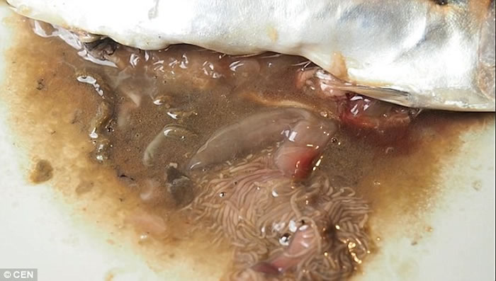 ���ģ��������ӳ���������ؼ� ������������������䶯������