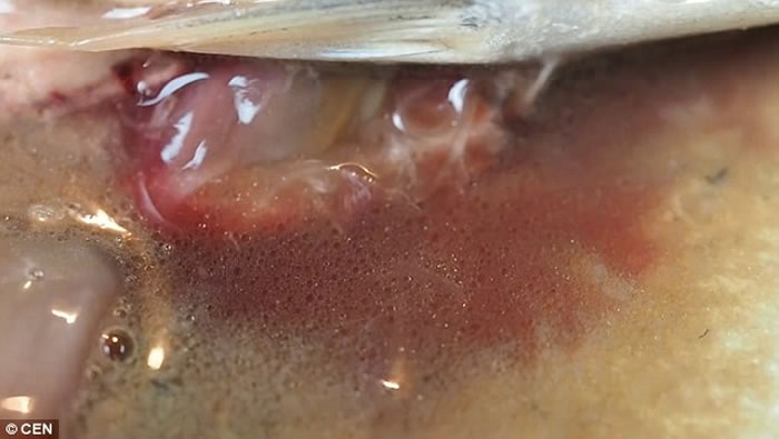 ���ģ��������ӳ���������ؼ� ������������������䶯������