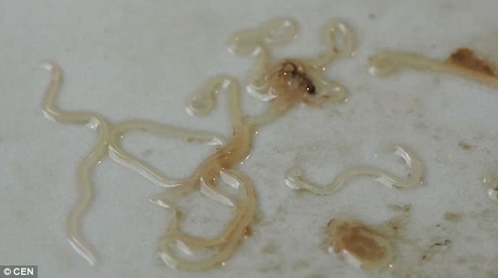 ���ģ��������ӳ���������ؼ� ������������������䶯������