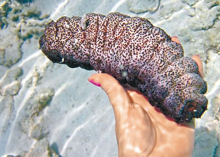 ǷηֻҪᱻӲ롣ͼƬ