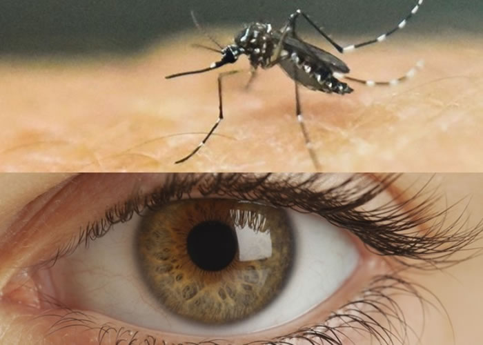 寨卡病毒可在泪水中生存,将疾病进一步扩散。
