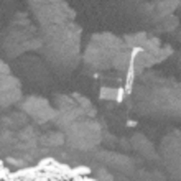 �����൱ϸС��