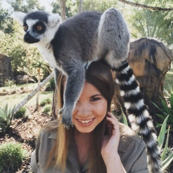 宾迪致力保育动物。