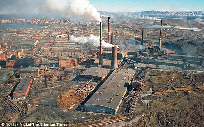 ����˹����¿���Ⱦ��Ѫ��ɫ ���ܻ�ѧ����Ⱦ