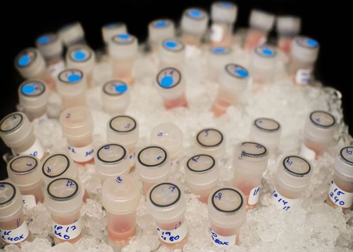 ����ҽѧ�о�Ժ�з���һ��ȫ�¿ڷ�����ҩ��