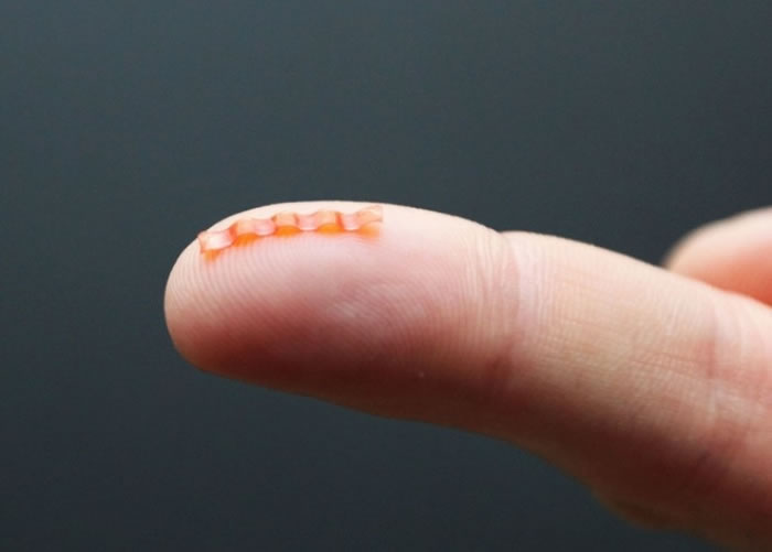 波兰华沙大学成功研制力大无穷机器虫 适用于间谍活动