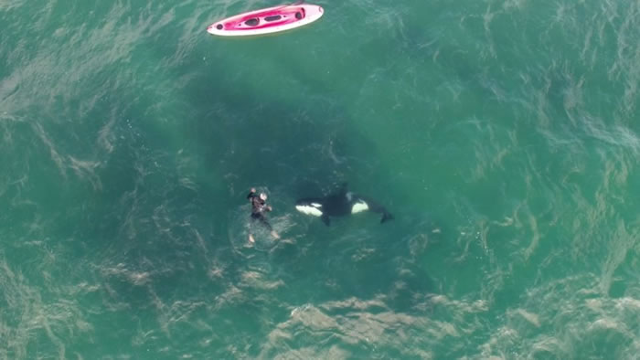 �������¿���������������ɱ�˾������ྡչ����һ��