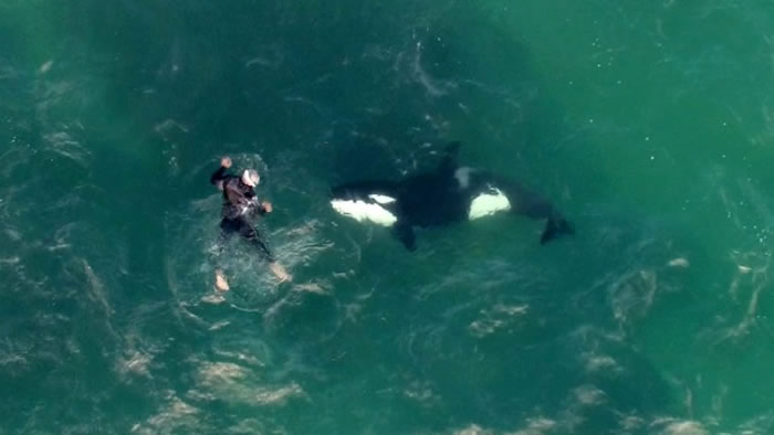 �������¿���������������ɱ�˾������ྡչ����һ��