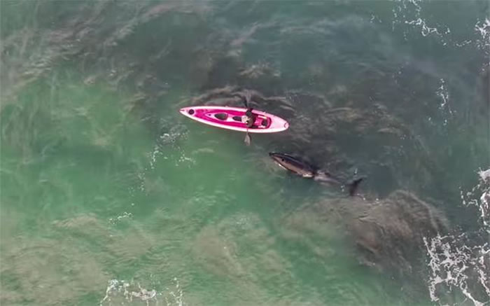 �������¿���������������ɱ�˾������ྡչ����һ��