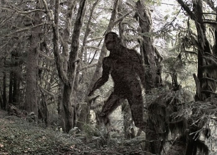 һֱԴŹֶڶ롣ͼΪŹֵͼ