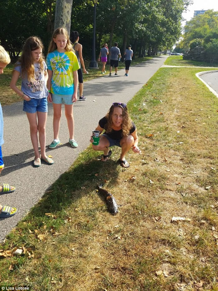 ����Ů���������ӥ����������µ��������