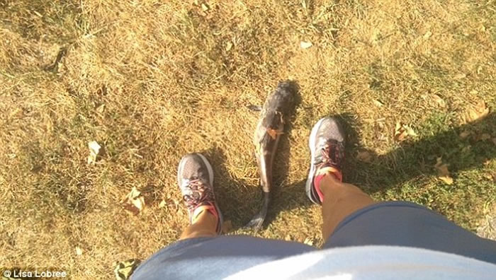 ����Ů���������ӥ����������µ��������