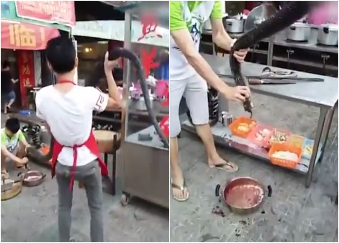 �㶫��ݸһ�Ҳ͹ݵ�����ɱ3�׳��ġ���ɽ�ڡ��۾�����