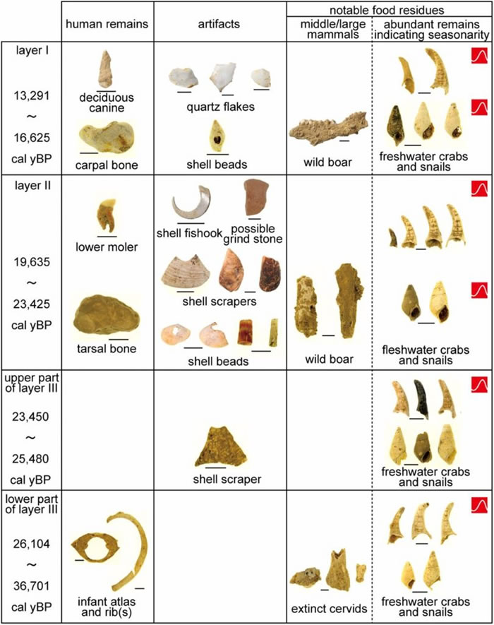 日本冲绳南部石灰岩洞Sakitari发现全球最古老鱼钩 距今2.3万年